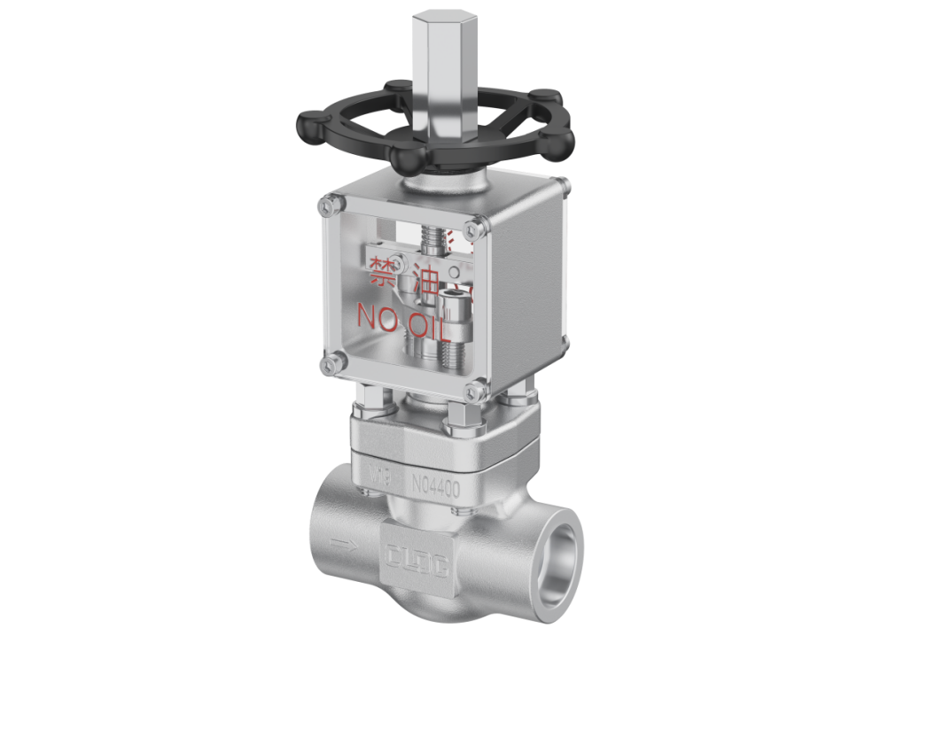 Oxygen Service Globe Valve for Industrial Safety | CLDG